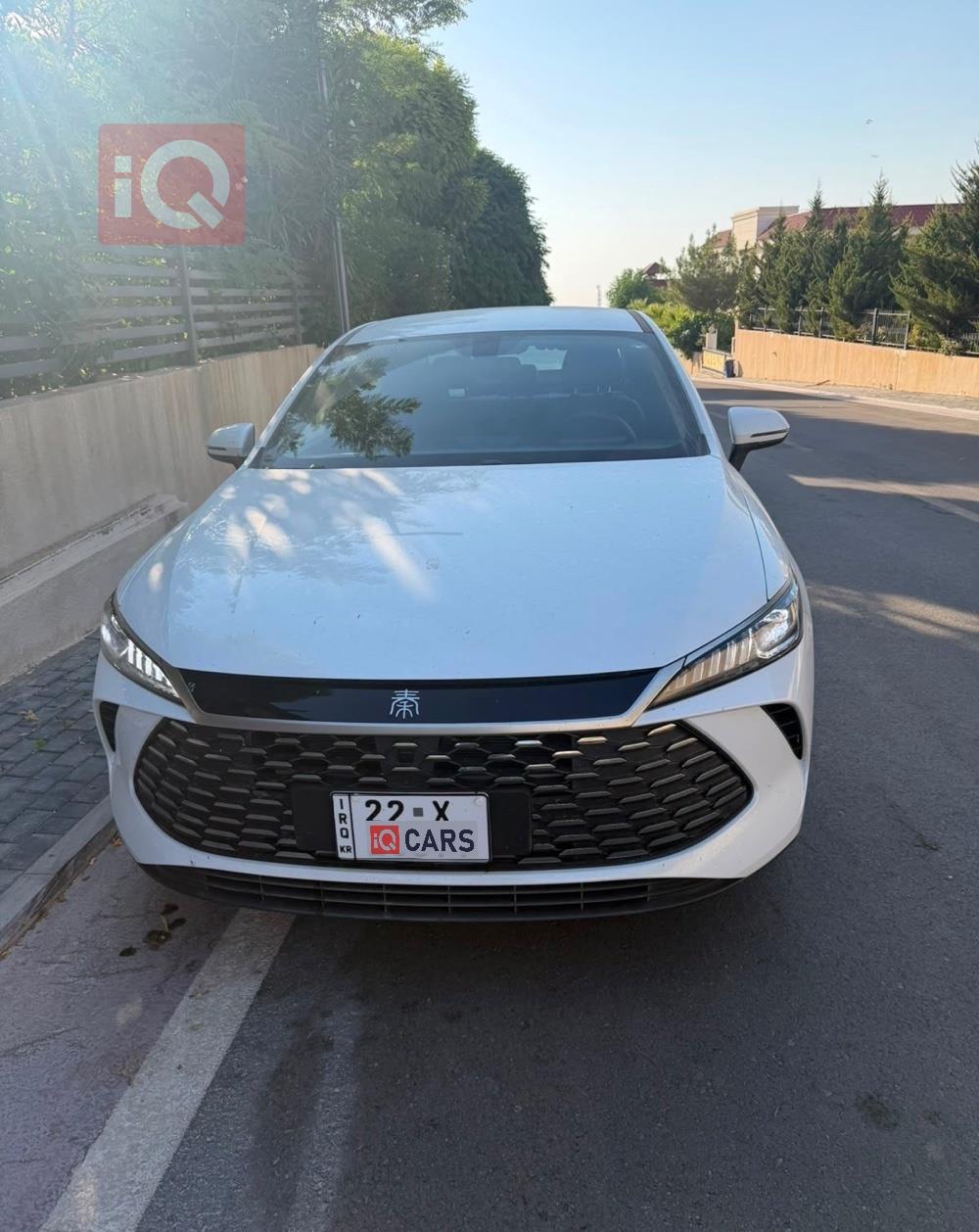 بي واي دي Qin Plus